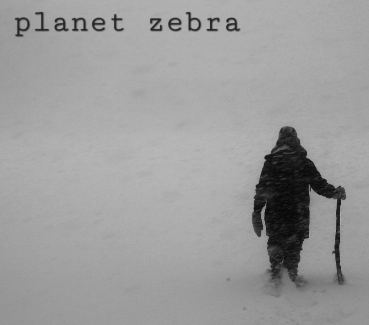 planet zebra